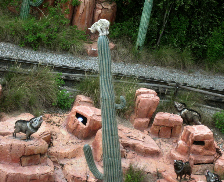 nature_bobcat.jpg