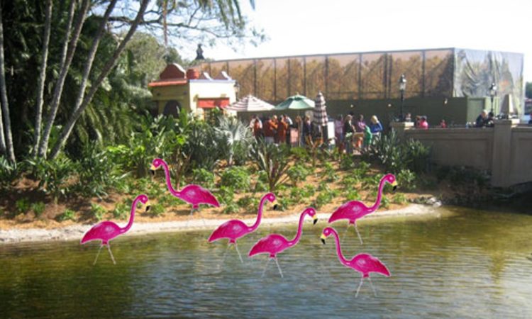 Epcot flamingos at the Mexico pavilion