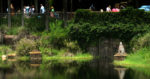 Animal Kingdom lost water temple