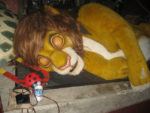 Lion King House of Horrors