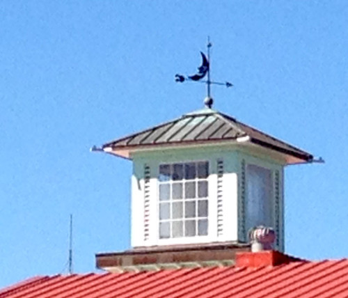 Funmeister weathervane