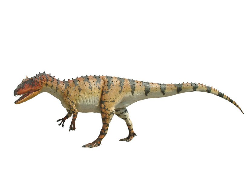 Allosaurus0002-1-