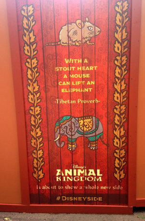 Inspirational proverbs on Animal Kingdom Refurbishment walls -- also the plot of Dumbo.