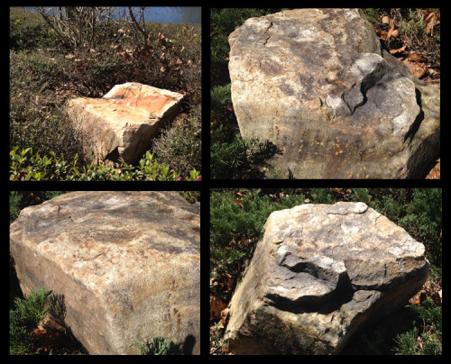 Fragments of rock, potentially from the Disney Institute rock-climbing wall.