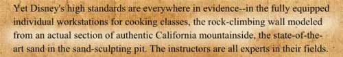 The Disney Institute rock climbing wall was modeled from actual California mountainside.