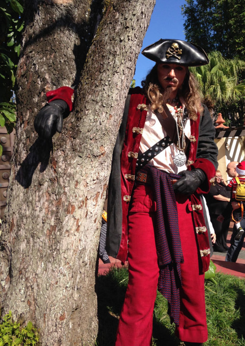 Pirate in a Tree