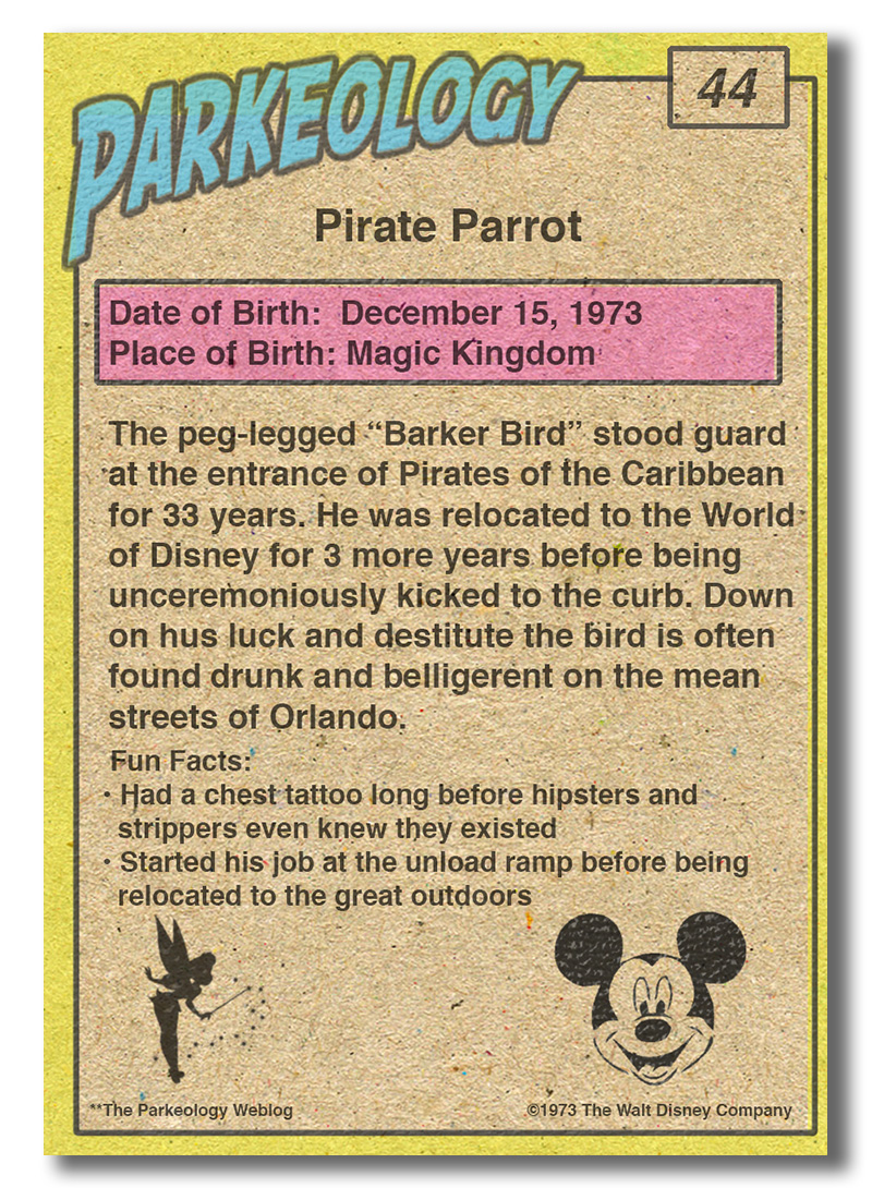 44-Pirate-Parrot-Back
