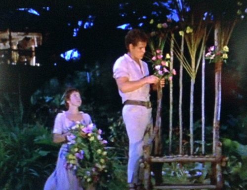 Fritz decorates the bamboo chair before the Swiss Family Robinson animal race