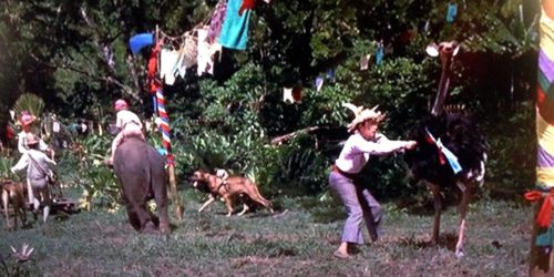 The animal race in Swiss Family Robinson