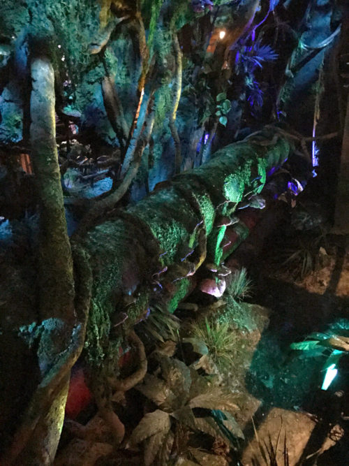 Rusty pipe in the bioluminescent area of the Avatar Flight of Passage queue