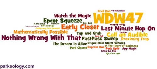 WDW47 word cloud of terminology