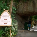 Oasis archway at Disney's Animal Kingdom