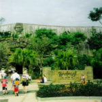 Rainforest Cafe at Disney's Animal Kingdom