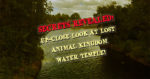 Secrets Revealed! Up-close Look at Lost Animal Kingdom Water Temple