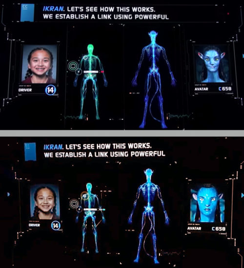 Alternate Na'vi in Avatar Flight of Passage pre-show