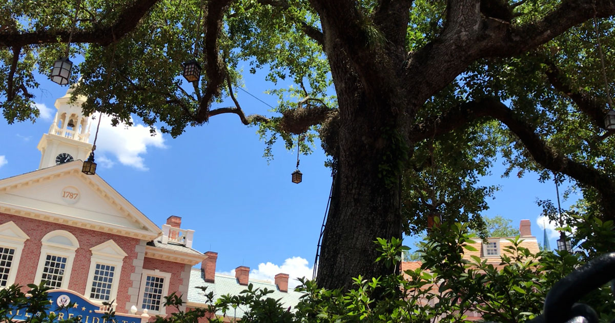 Liberty Tree in Magic Kingdom's Liberty Square