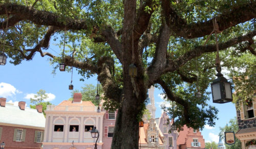 Liberty Tree in Magic Kingdom's Liberty Square