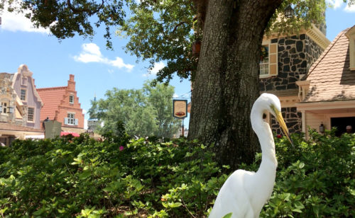 A majestic water bird looks on, with the Liberty Tree's power cable in the background