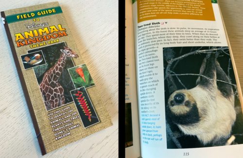 Field Guide to Disney's Animal Kingdom mentions two-toed sloths