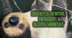 Fabled Animal Kingdom Sloth Habitat Still Hanging Around The Animal Kingdom Sloth Exhibit is Still Hanging Around