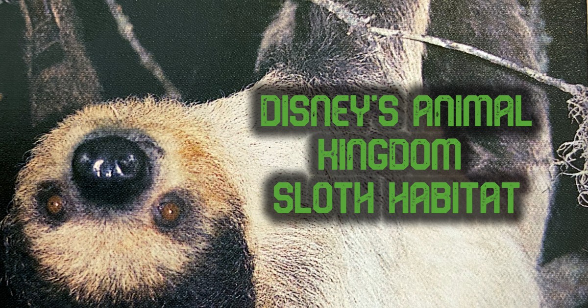 The Animal Kingdom Sloth Exhibit is Still Hanging Around