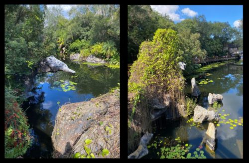 Original dragon cave rocks from the Pandora boardwalk