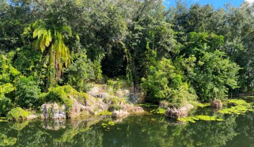 Africa geyser rocks from old Discovery River Boats