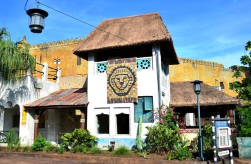 Festival of the Lion King Disney dream house theater in Africa