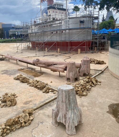 A look at the Echo Lake tree stumps when drained.